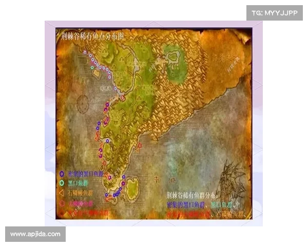 魔兽世界怀旧服：巧妙遮掩伤害的奇谋